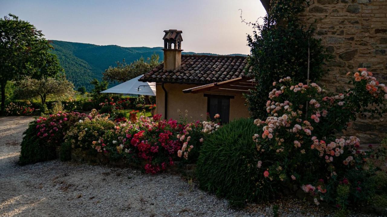 Il Casale Di Fiore Cannara Exteriör bild
