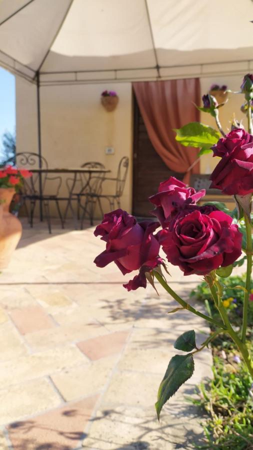 Il Casale Di Fiore Cannara Exteriör bild
