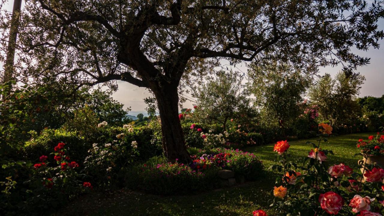 Il Casale Di Fiore Cannara Exteriör bild