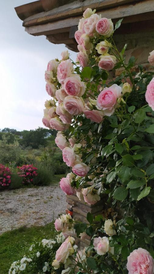 Il Casale Di Fiore Cannara Exteriör bild