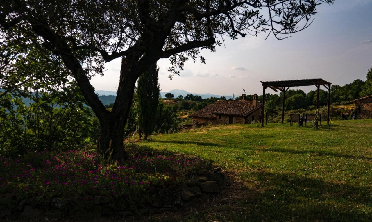Il Casale Di Fiore Cannara Exteriör bild