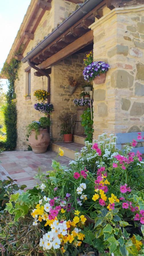Il Casale Di Fiore Cannara Exteriör bild